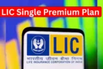 LICની નવી ધમાકેદાર યોજના: એક જ વાર પ્રીમિયમ અને આખી જિંદગી ઇન્શ્યોરન્સ મેળવો, 12 જાન્યુઆરીથી લાગુ
