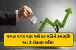 પગાર વગર પણ થશે દર મહિને કમાણી! આ 3 રોકાણ સ્કીમ બનાવશે તમને ફિક્સ ઇન્કમનું માલિક
