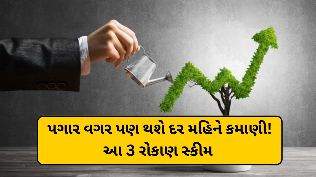પગાર વગર પણ થશે દર મહિને કમાણી! આ 3 રોકાણ સ્કીમ બનાવશે તમને ફિક્સ ઇન્કમનું માલિક